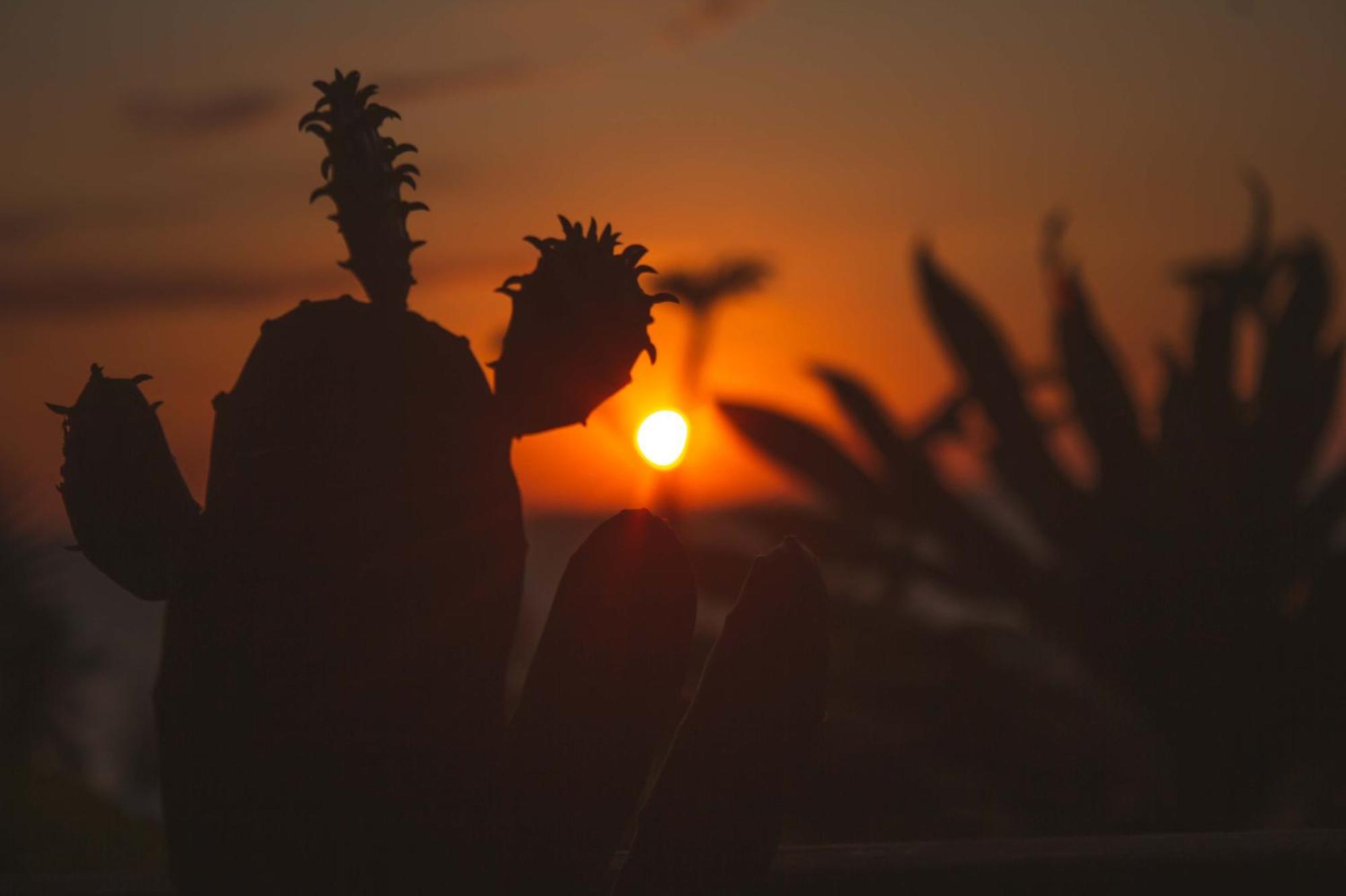 Coucher De Soleil Ambatoloaka  Εξωτερικό φωτογραφία